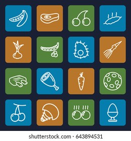 Raw icons set. set of 16 raw outline icons such as onion, carrot, cherry, peas, cherry, egg, meat