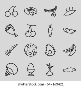 Raw icons set. set of 16 raw outline icons such as onion, carrot, cherry, peas, cherry, cucumber, egg, meat, extinct sea creature