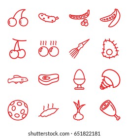 Raw icons set. set of 16 raw outline icons such as onion, cherry, peas, cherry, cucumber, egg, meat, extinct sea creature