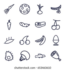 Raw icons set. set of 16 raw outline icons such as onion, carrot, cherry, peas, cherry, cucumber, egg, meat, extinct sea creature