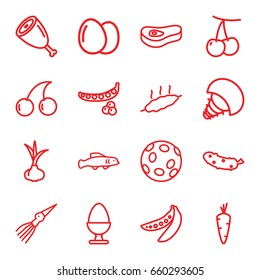 Raw icons set. set of 16 raw outline icons such as egg, onion, carrot, cherry, peas, cherry, cucumber, meat, extinct sea creature