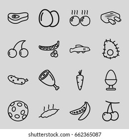 Raw icons set. set of 16 raw outline icons such as egg, carrot, cherry, peas, cherry, cucumber, meat, extinct sea creature