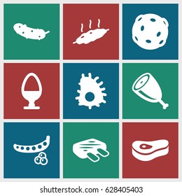 Raw icons set. set of 9 raw filled icons such as peas, cucumber, egg, meat