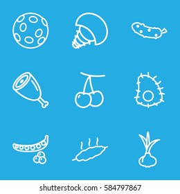 raw icons set. Set of 9 raw outline icons such as onion, cherry, peas, cucumber, meat