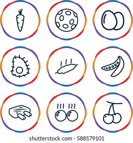 raw icons set. Set of 9 raw outline icons such as egg, carrot, cherry, peas, meat