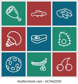 Raw icons set. set of 9 raw outline icons such as peas, Cherry, meat, extinct sea creature