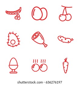 Raw icons set. set of 9 raw outline icons such as egg, carrot, cherry, peas, cucumber, meat