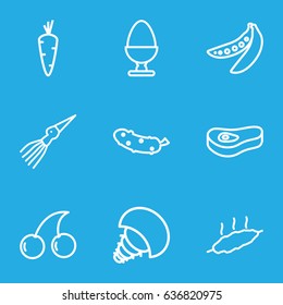 Raw icons set. set of 9 raw outline icons such as carrot, cherry, cucumber, peas, egg, meat