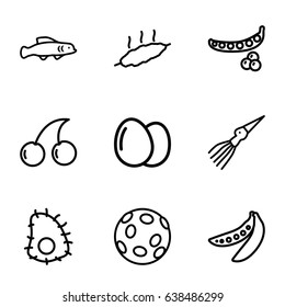 Raw icons set. set of 9 raw outline icons such as egg, peas, cherry, meat, extinct sea creature