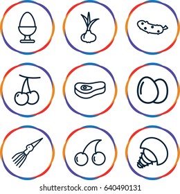 Raw icons set. set of 9 raw outline icons such as egg, onion, cherry, cherry, cucumber, meat