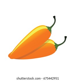 raw jalapeno hot yellow chilies. Vector Illustration 