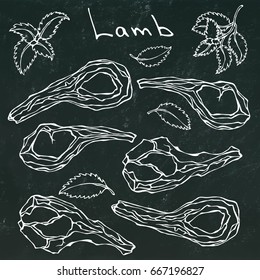 Raw Lamb Chop Ribs Set. Realistic Hand Drawn Doodle Style Sketch.Vector Illustration Isolated on a Black Chalkboard Background. Fresh Meat Cuts.