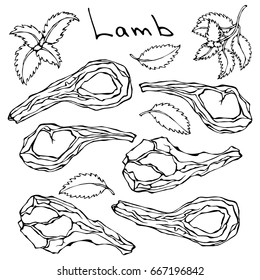 Raw Lamb Chop Ribs Set. Realistic Vector Illustration Isolated Hand Drawn Doodle or Cartoon Style Sketch. Fresh Meat Cuts.