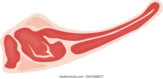 Raw lamb flap meat showcasing visible fat and muscle, isolated on a clean white background, highlighting its rich protein content and nutritional value for culinary preparations