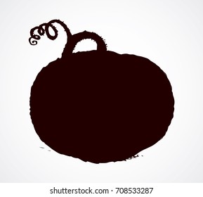 Raw large pumpkin isolated on white backdrop. Dark ink hand drawn picture sketchy in art retro print style. View closeup with space for text