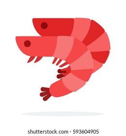 Raw large shrimps vector flat material design isolated on white