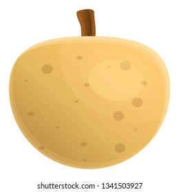 Raw longan icon. Cartoon of raw longan vector icon for web design isolated on white background