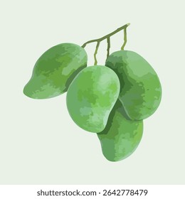 Raw mango high-quality EPS vector of green raw mango fruit with realistic shading and smooth texture.Isolated on a clean white background for easy integration.