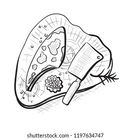 Raw meat, an ax and spices on a wooden board. Hand drawn vector illustration.