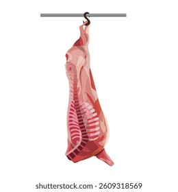 Raw meat carcass cut in half hangs on a hook. Vector illustration isolated on white background