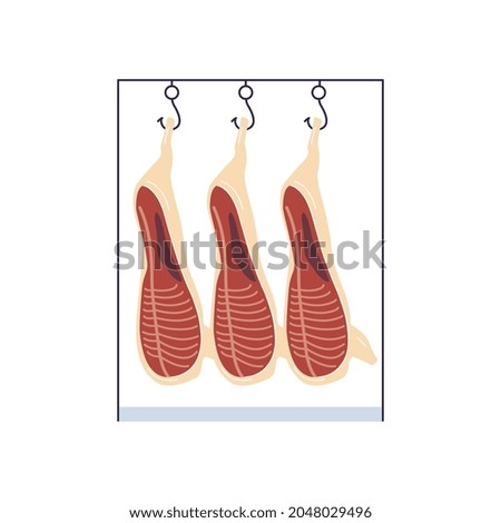 Raw meat carcass hanging on food factory rack isolated on white background. Three raw beef or pork pieces from industrial slaughterhouse butchery, vector illustration