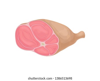 Raw meat on the bone. Vector illustration on white background.