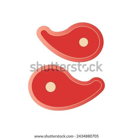 Raw meat steak vector illustration isolated on white. Beef tenderloin. Pork knuckle. Slice of steak, fresh meat icon. Uncooked pork chop, beef or lamb for roast, barbecue, bake and cooking. Top view