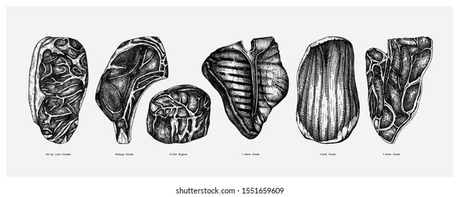 Raw meat top view sketches collection. Vector illustrations of Filet mignon, rib eye, strip, flank, 7-bone, t-bone steaks. Hand drawn cuts of beef.  Steak house, grill restaurant menu design elements