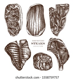 Raw meat top view sketches collection. Vector illustrations of Filet mignon, rib eye, strip, flank, 7-bone, t-bone steaks. Hand drawn cuts of beef.  Steak house, grill restaurant menu.