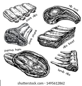 Raw meat vector drawing set. Hand drawn beef steak, pork ham, lamb rib. Raw food ingredient. Vintage sketch. Butcher shop product. Great for label, restaurant menu.