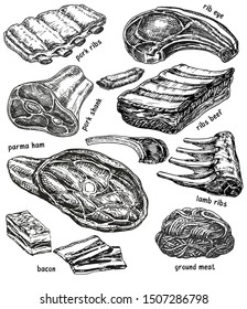 Raw meat vector drawing set. Hand drawn beef steak, pork ham, bacon, lamb rib, minced chicken forcemeat. Raw food ingredient. Vintage sketch. Butcher shop product. For label, restaurant menu.