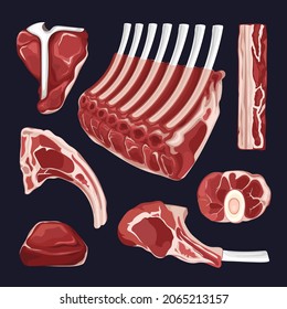Raw Meat Vector Set Art Illustration Tenderloin Sirloin T bone Tomahawk