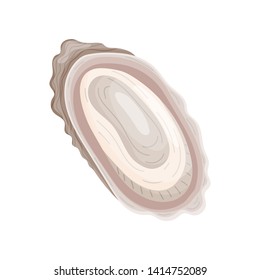 Raw molusk Vector illustration on white background.