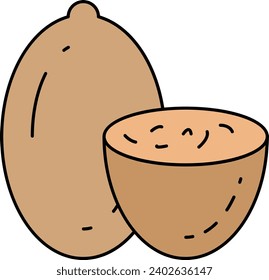 Raw Nutmeg Concept, ground spice mace vector outline icon design, Condiments and Spices symbol, Food cooking ingredients Sign, Herbs and table sauce stock illustration