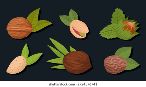 Raw nuts. Almond, cashew and walnut with leaves, vegetarian diet organic snack flat vector illustration set. Delicious nuts on dark background
