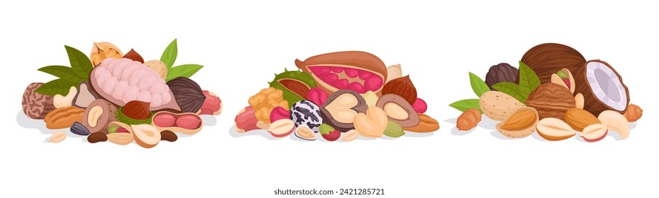 Raw nuts handfuls. Seeds and nuts bunch, peanut, cashew and walnut mix, organic vegetarian nuts mix flat vector illustration set. Delicious nuts and seeds bunches on white