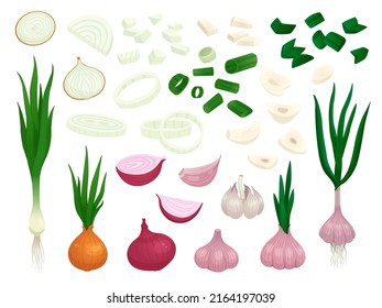 Raw onion. Half onions, vegetables slices fresh cut. Peeled garlic piece, cartoon organic green leeks. Isolated shallot, cook spices racy vector set