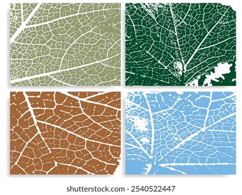 Raw, Organic Textures Vector Background Set 