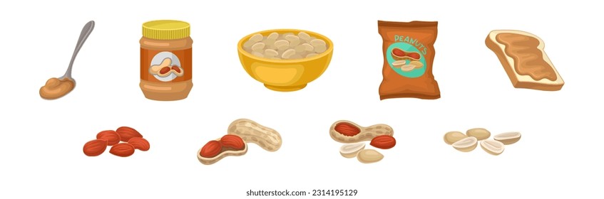 Raw Peanut Edible Seeds in Pod and Hulled as Snack Vector Set