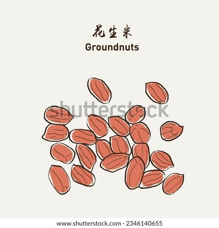 Raw peanut, groundnut 花生米. Hand drawn vector EPS 10 商業照片 © 