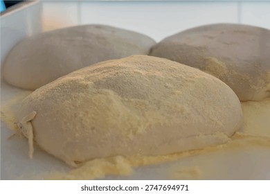 Raw Pizza Dough vector file Bases Ready for Baking
