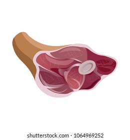 Raw pork knuckle. Vector illustration isolated on white background