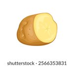 Raw potato cut in half isolated on white background. Vector cartoon illustration of fresh root vegetable. 