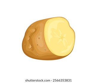 Raw potato cut in half isolated on white background. Vector cartoon illustration of fresh root vegetable. 