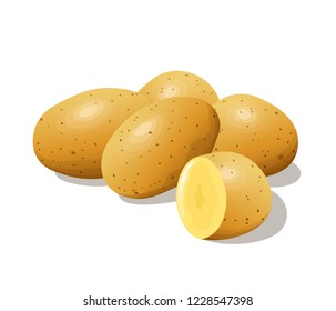 Raw potato. Vector illustration.