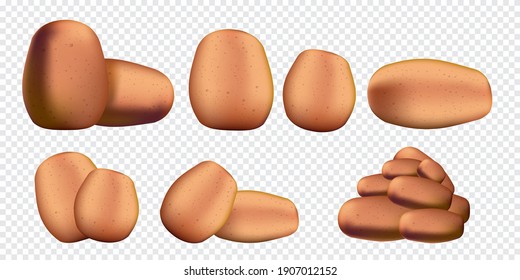 Patatas crudas aisladas sobre fondo transparente. Colección de patatas 3d realistas para vectores 
