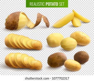 Raw potatoes set on transparent background with whole root crops and sliced pieces  realistic vector illustration 