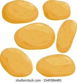 Raw potatoes set on white background. Vector illustration.