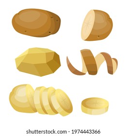 Raw potatoes set with whole, half, peeled and sliced pieces root crops. Vector illustration isolated on white background