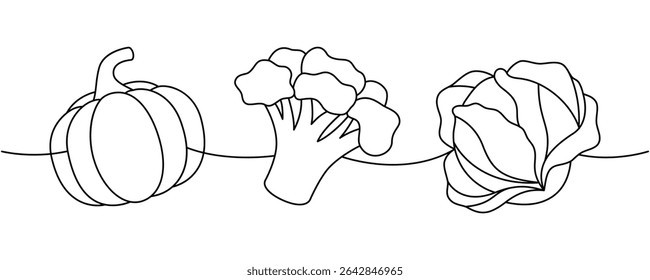 Raw pumpkin, broccoli, cabbage one line continuous drawing. Fresh organic vegetables. Vector illustration